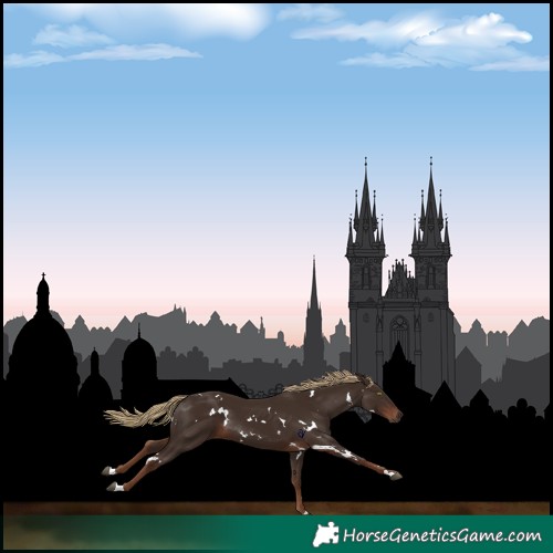 Horse Color:White Spotted Liver Chestnut 
