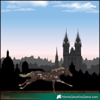 Horse Color:White Spotted Liver Chestnut 