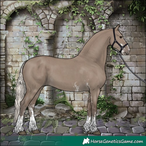 Horse Color:Silver Grullo Sabino 