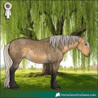 Horse Color:Silver Buckskin Dun Rabicano