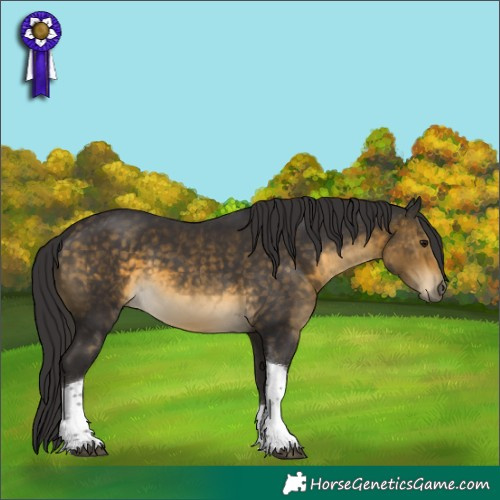 Horse Color:Buckskin Tobiano 