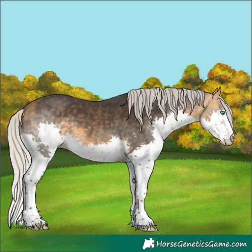 Horse Color:Silver Buckskin Splash