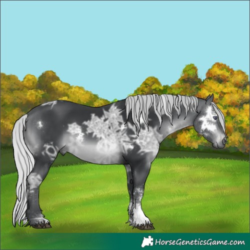 Horse Color:White Spotted Silver Brown Chinchilla Ice Sabino