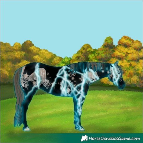 Horse Color:Void Thunderstruck Liver Red Dun Ice Splash Tobiano Rabicano 