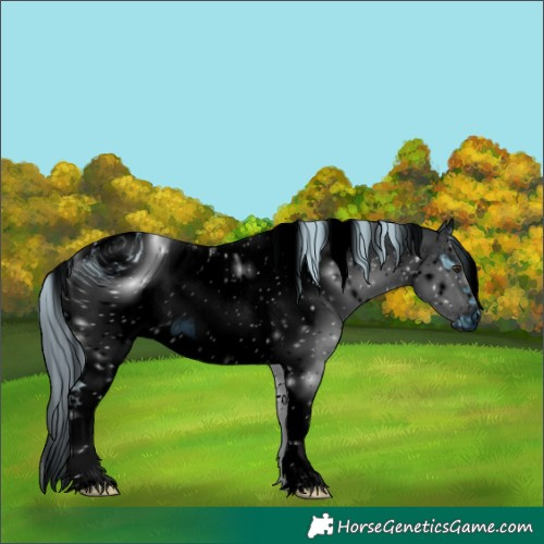 Horse Color:ERROR: UNKNOWN ANOMALY