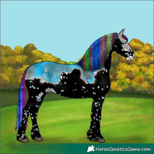 Horse Color:Painted White Spotted Grullo Splash 
