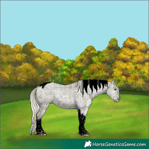 Horse Color:Void Plaid Silver Grullo Ice Tobiano