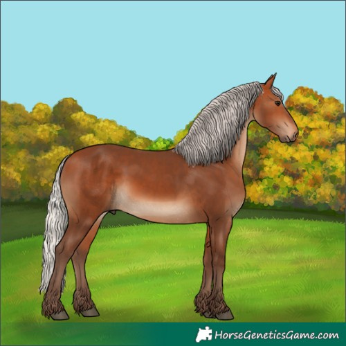 Horse Color:Silver Bay