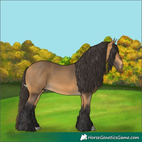 Horse Color:Buckskin