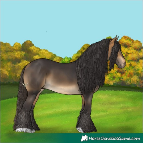 Horse Color:Buckskin
