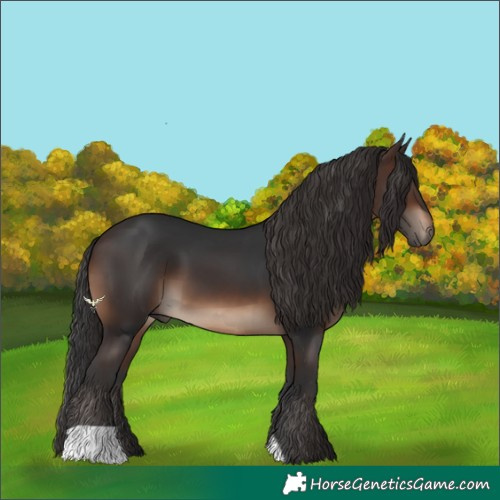 Horse Color:Brown 