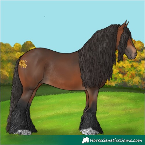 Horse Color:Bay Rabicano 