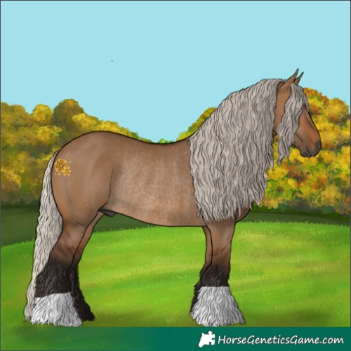 Horse Color:Gray Silver Bay Dun Rabicano 