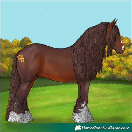 Horse Color:Chocolate Brown 