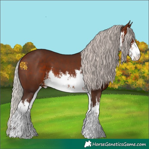 Horse Color:White Spotted Silver Brown Appaloosa