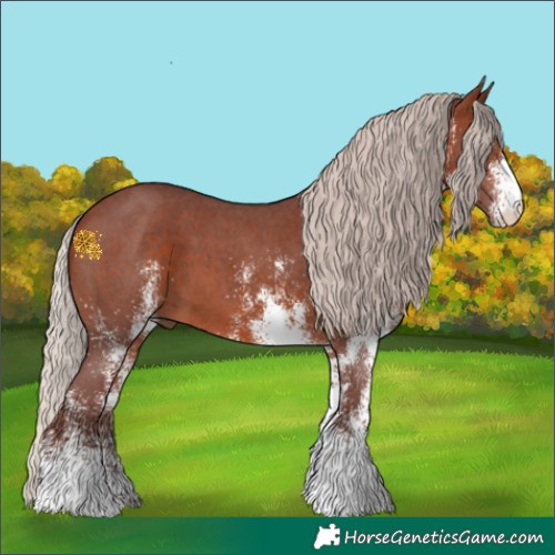 Horse Color:White Spotted Chocolate Silver Brown