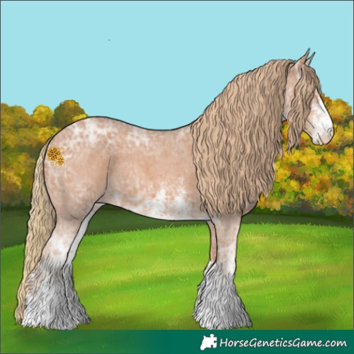 Horse Color:White Spotted Chestnut Ice Appaloosa Rabicano 