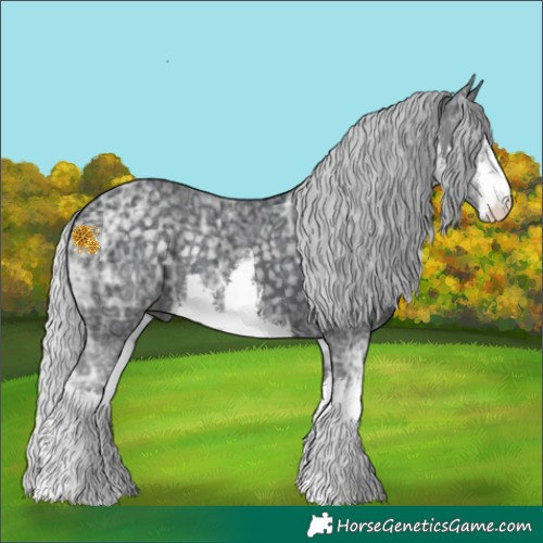 Horse Color:White Spotted Silver Black Chinchilla Ice Rabicano 