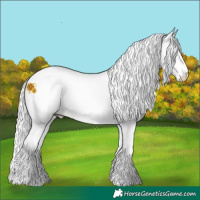 Horse Color:White Spotted Red Dun Chinchilla Ice Rabicano
