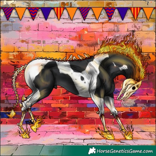 Horse Color:Black Tobiano