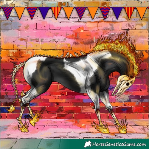 Horse Color:Black Tobiano