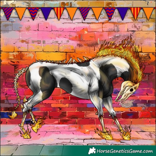 Horse Color:Black Tobiano