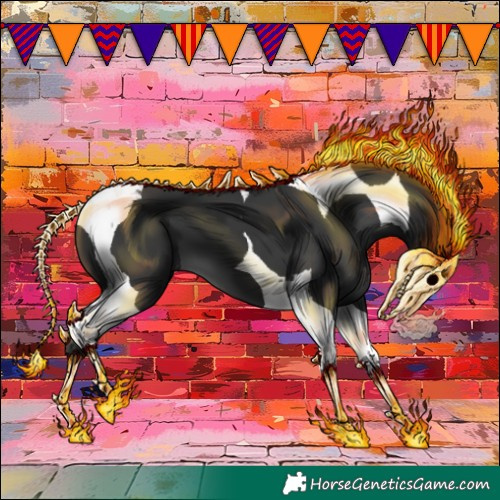 Horse Color:Black Tobiano 