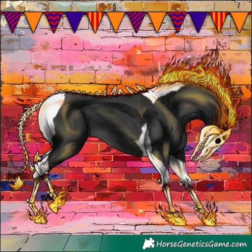 Horse Color:Black Tobiano 