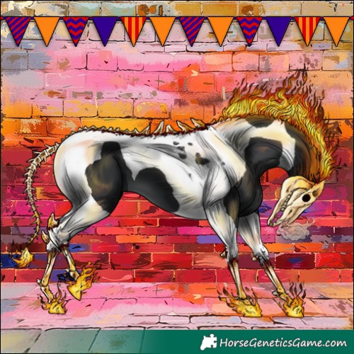 Horse Color:Black Tobiano