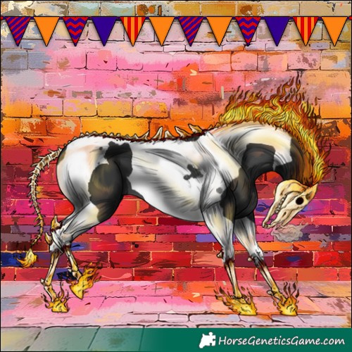 Horse Color:Black Tobiano