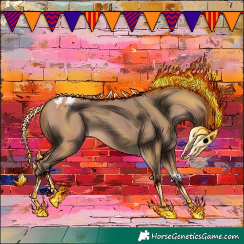 Horse Color:Amber Champagne Appaloosa 