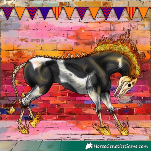 Horse Color:Black Tobiano 
