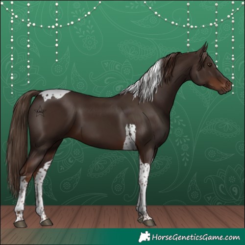 Horse Color:Liver Chestnut Tobiano 