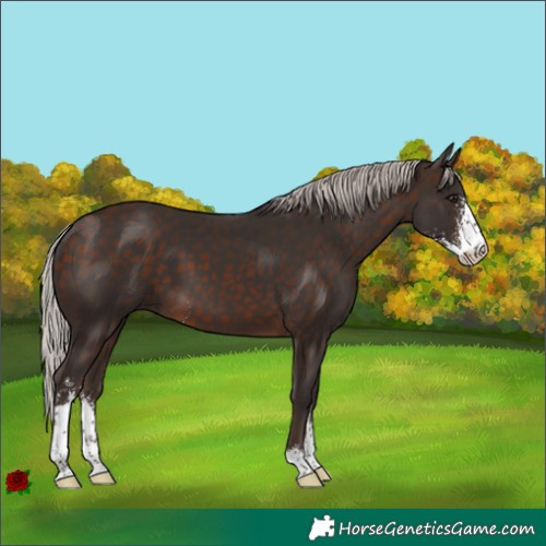 Horse Color:Silver Brown Sabino