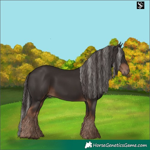 Horse Color:Liver Chestnut Mushroom  and Liver Chestnut 