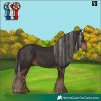 Horse Color:Liver Chestnut Mushroom and Liver Chestnut