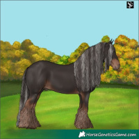 Horse Color:Liver Chestnut Mushroom and Liver Chestnut