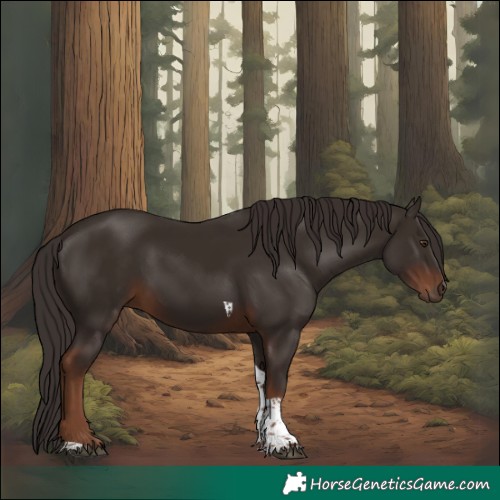 Horse Color:Liver Chestnut Tobiano