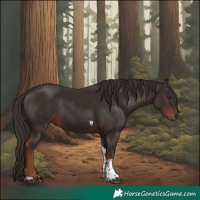 Horse Color:Liver Chestnut Tobiano 