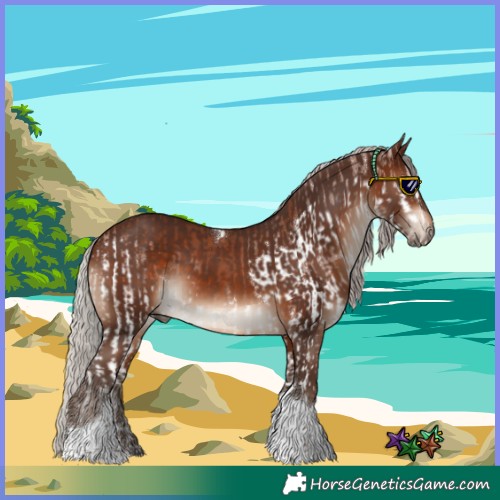 Horse Color:Silver Black Splash Tobiano  and Silver Brown Tobiano 