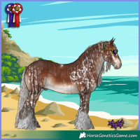 Horse Color:Silver Black Splash Tobiano and Silver Brown Tobiano