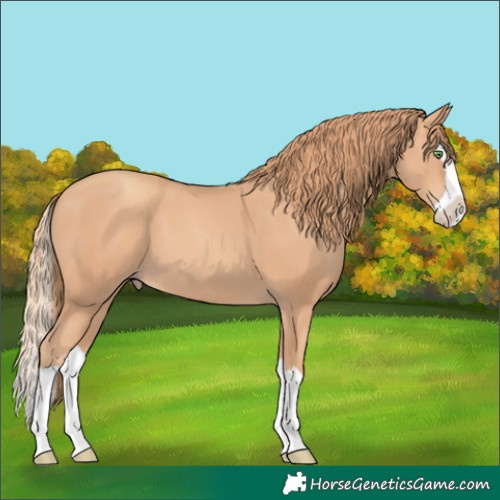 Horse Color:Gold Champagne Splash 
