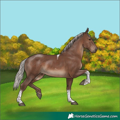 Horse Color:Silver Black Tobiano
