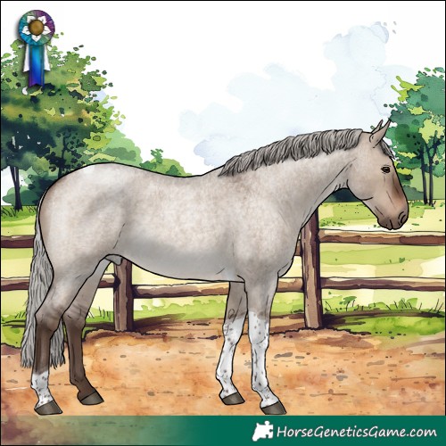 Horse Color:Silver Brown Roan Dun Tobiano 