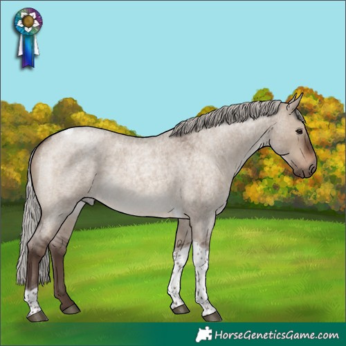 Horse Color:Silver Brown Roan Dun Tobiano 