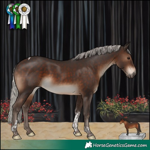 Horse Color:Silver Brown Tobiano 