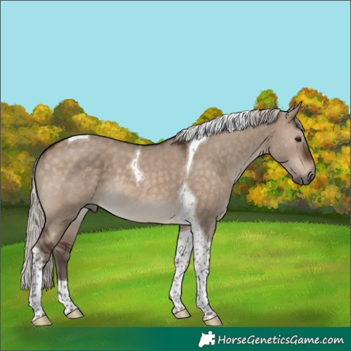Horse Color:Silver Brown Dun Tobiano 