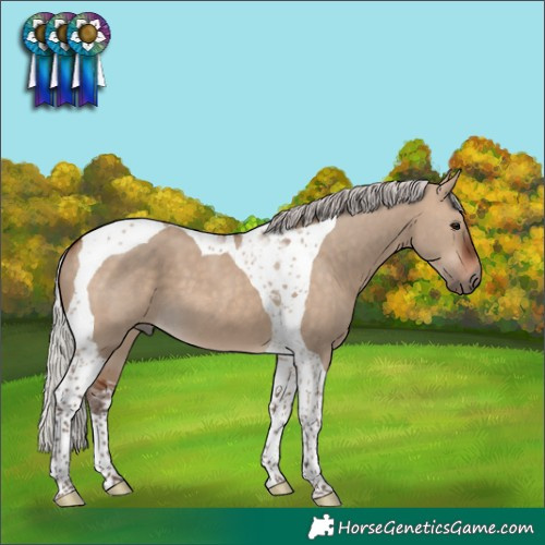 Horse Color:Silver Bay Dun Tobiano 