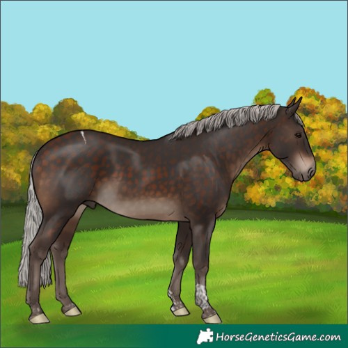 Horse Color:Silver Brown Tobiano