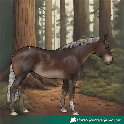 Horse Color:Silver Brown Tobiano